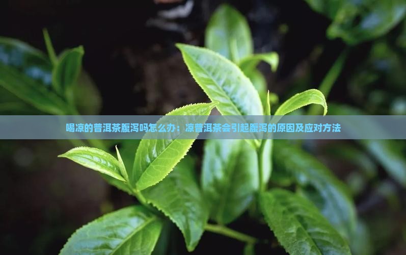 喝凉的普洱茶腹泻吗怎么办：凉普洱茶会引起腹泻的原因及应对方法