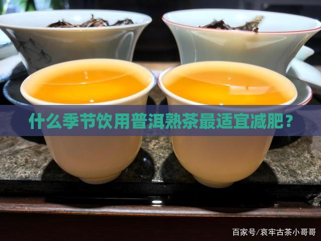 什么季节饮用普洱熟茶最适宜减肥？