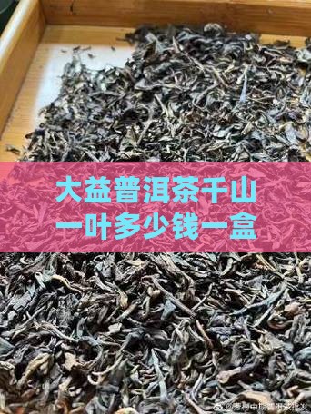 大益普洱茶千山一叶多少钱一盒价格