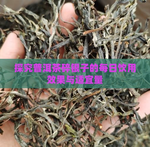 探究普洱茶碎银子的每日饮用效果与适宜量