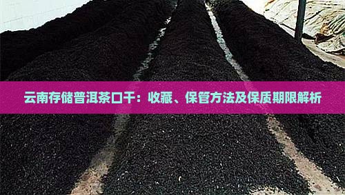 云南存储普洱茶口干：收藏、保管方法及保质期限解析