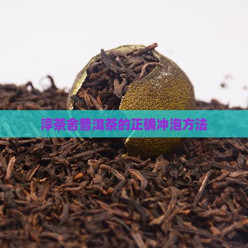 淳茶舍普洱茶的正确冲泡方法