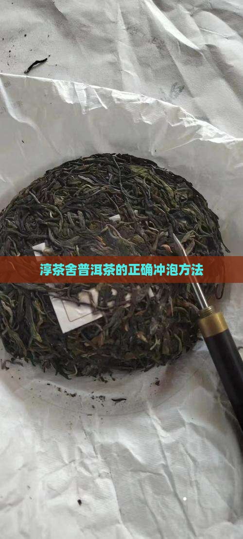 淳茶舍普洱茶的正确冲泡方法