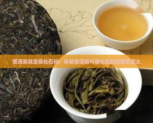 普洱茶就是茶化石吗：详解普洱茶与茶化石的区别及定义
