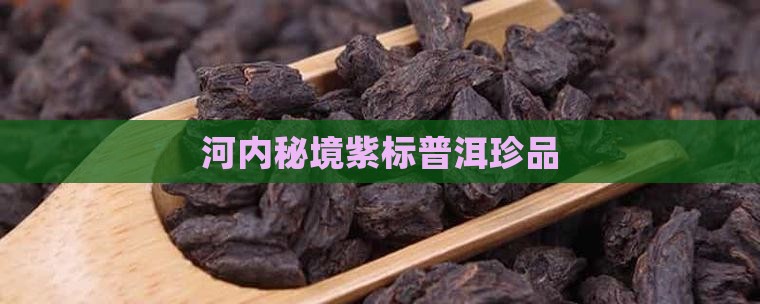 河内秘境紫标普洱珍品