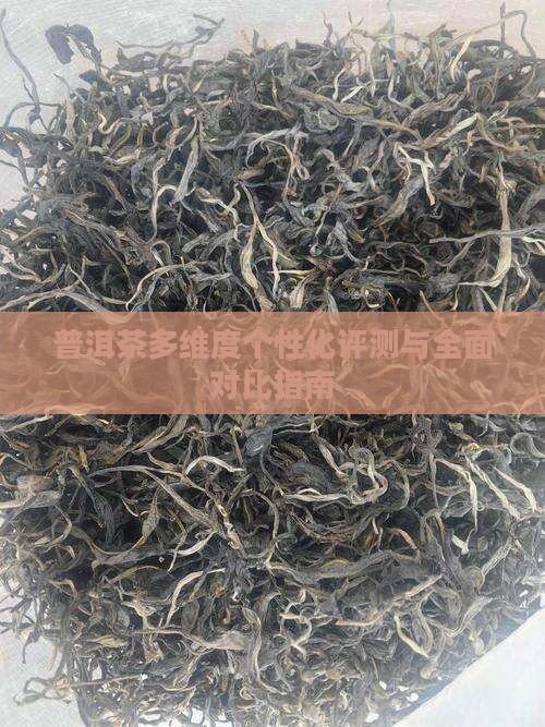 普洱茶多维度个性化评测与全面对比指南