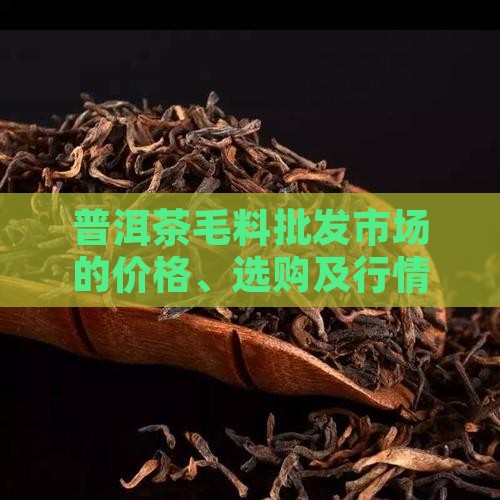 普洱茶毛料批发市场的价格、选购及行情分析