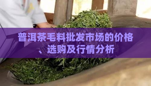 普洱茶毛料批发市场的价格、选购及行情分析