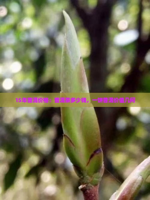 15年普洱价格：普洱茶多少钱，一饼普洱价值几何