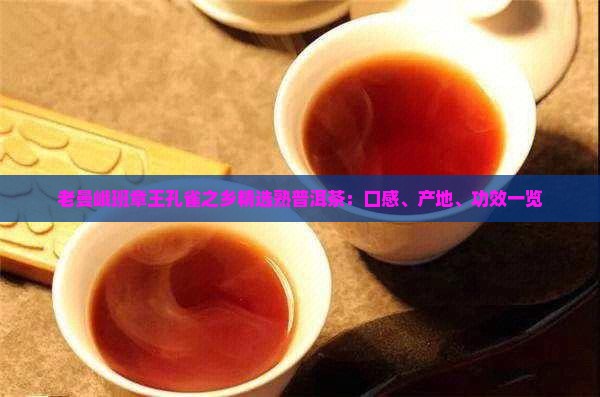 老曼峨班章王孔雀之乡精选熟普洱茶：口感、产地、功效一览