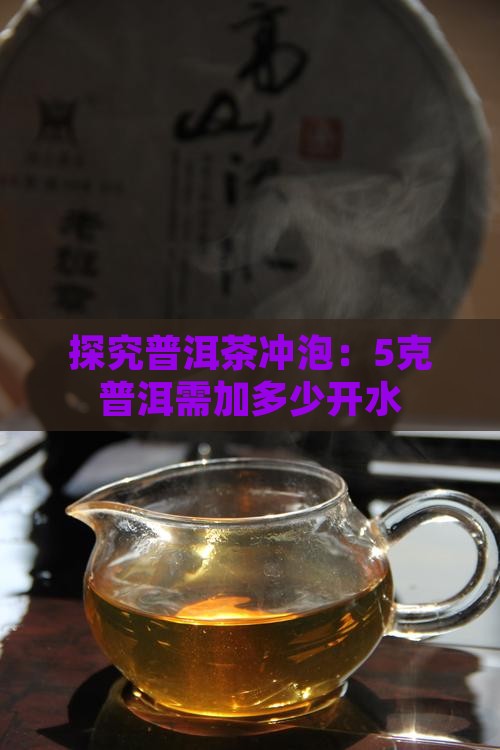 探究普洱茶冲泡：5克普洱需加多少开水