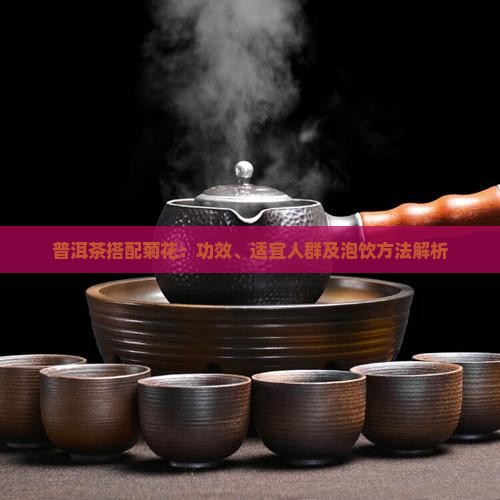 普洱茶搭配菊花：功效、适宜人群及泡饮方法解析