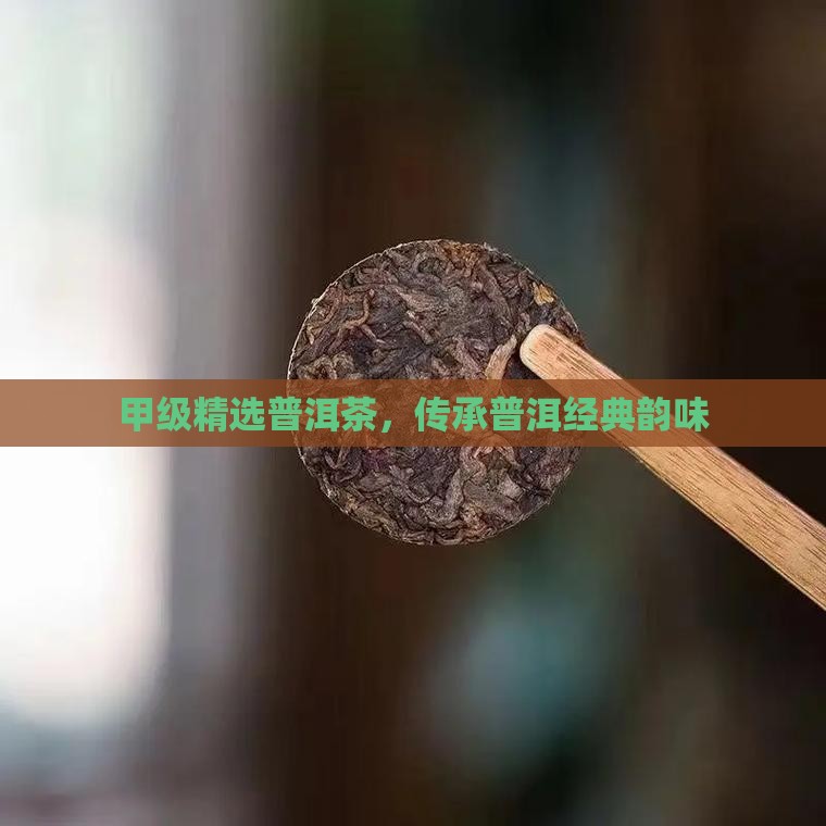 甲级精选普洱茶，传承普洱经典韵味