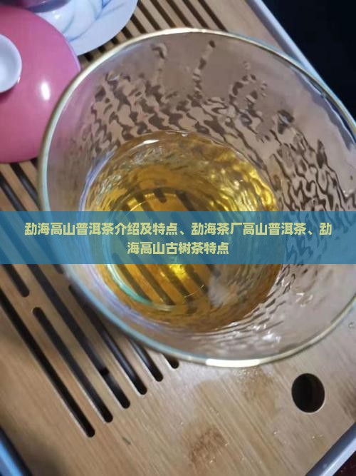 勐海高山普洱茶介绍及特点、勐海茶厂高山普洱茶、勐海高山古树茶特点