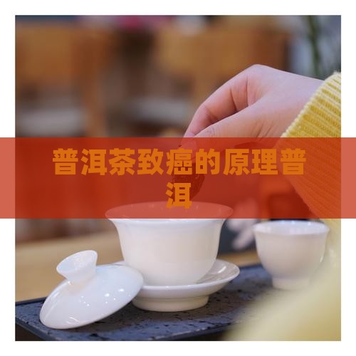 普洱茶致癌的原理普洱