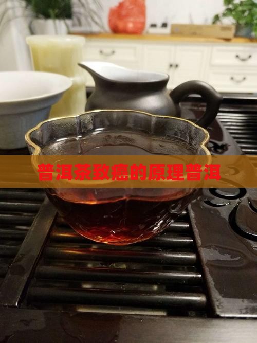 普洱茶致癌的原理普洱