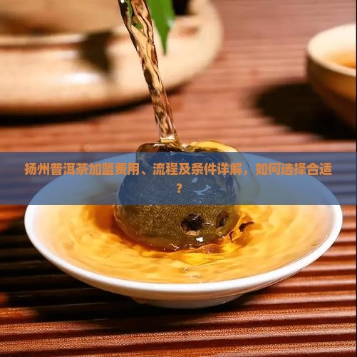 扬州普洱茶加盟费用、流程及条件详解,如何选择合适? 扬州普洱茶加盟费用、流程及条件详解,如何选择合适?