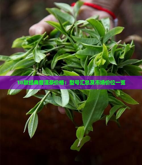 10款经典普洱茶价格：型号汇总及市场价位一览