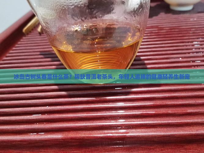 冰岛古树头春是什么茶？稀缺普洱老茶头，年轻人追捧的健康轻养生新宠