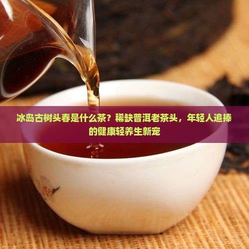 冰岛古树头春是什么茶？稀缺普洱老茶头，年轻人追捧的健康轻养生新宠