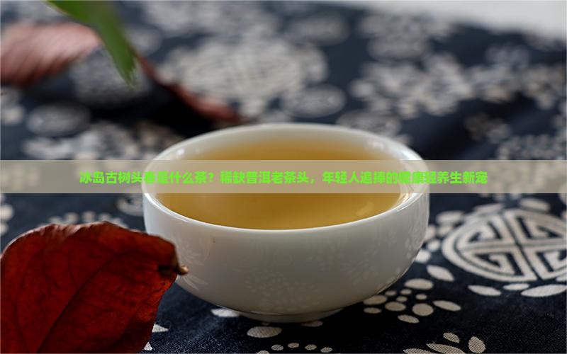 冰岛古树头春是什么茶？稀缺普洱老茶头，年轻人追捧的健康轻养生新宠