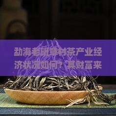 勐海老班章村茶产业经济状况如何？其财富来源及村民生活面貌解析