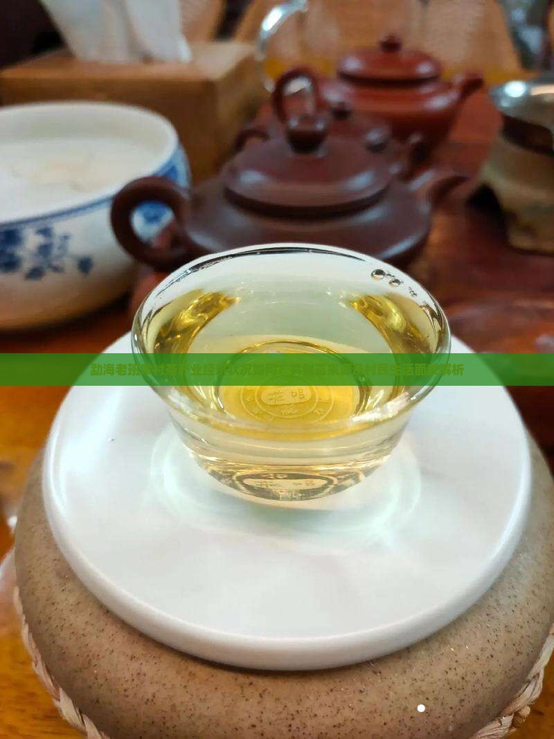 勐海老班章村茶产业经济状况如何？其财富来源及村民生活面貌解析