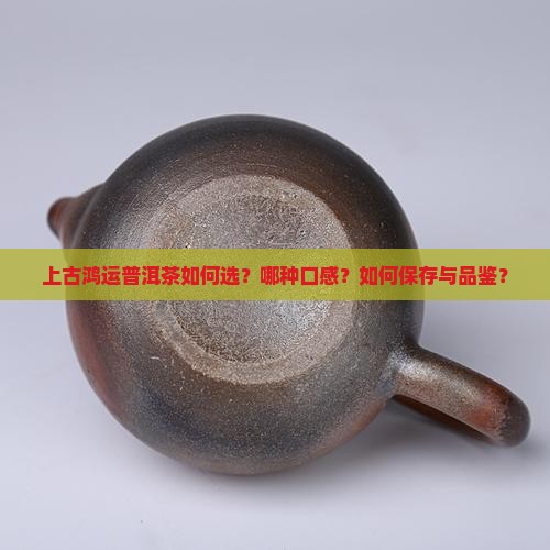 上古鸿运普洱茶如何选？哪种口感？如何保存与品鉴？