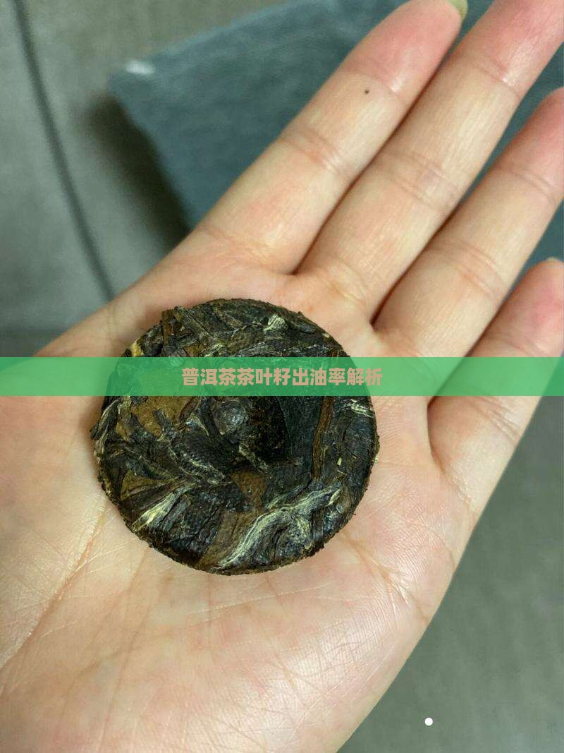 普洱茶茶叶籽出油率解析