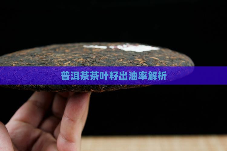 普洱茶茶叶籽出油率解析