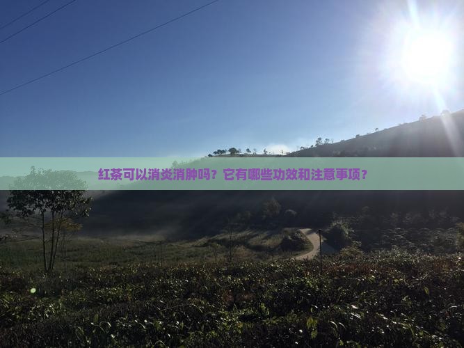 红茶可以消炎消肿吗？它有哪些功效和注意事项？