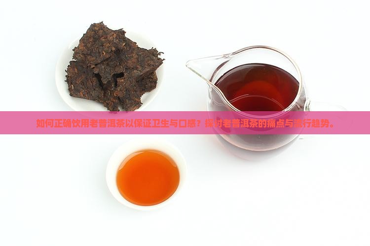 如何正确饮用老普洱茶以保证卫生与口感？探讨老普洱茶的痛点与流行趋势。