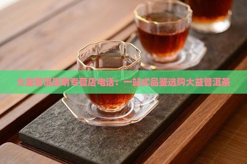 大益普洱昆明专营店电话：一站式品鉴选购大益普洱茶
