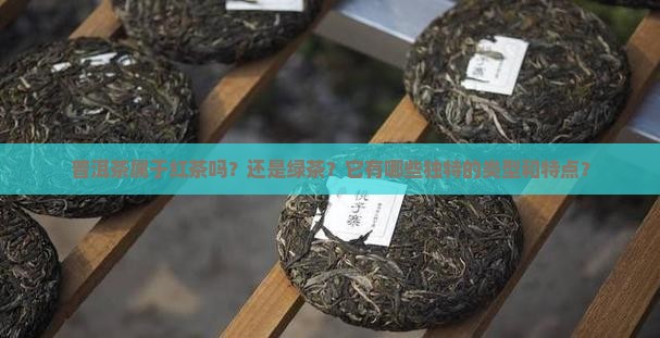 普洱茶属于红茶吗？还是绿茶？它有哪些独特的类型和特点？