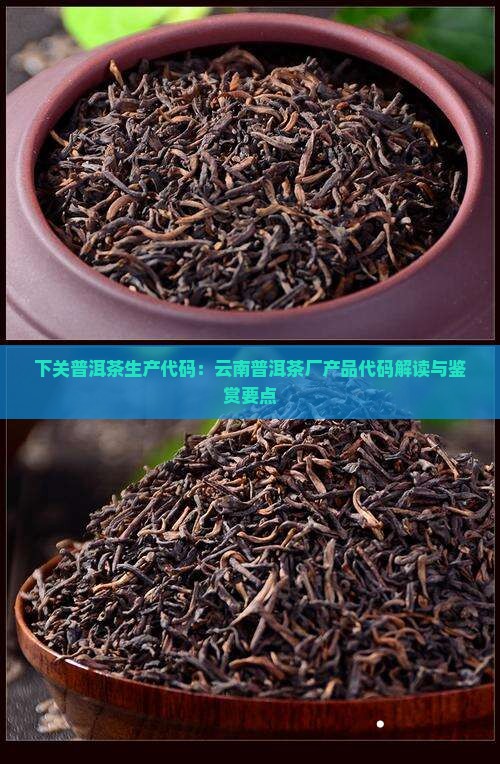 下关普洱茶生产代码：云南普洱茶厂产品代码解读与鉴赏要点