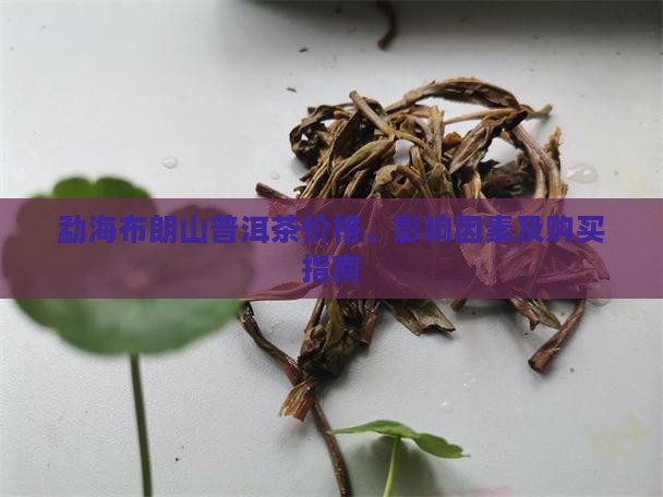 勐海布朗山普洱茶价格、影响因素及购买指南