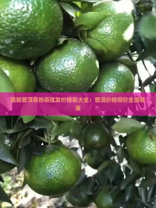 最新普洱茶熟茶批发价格表大全：普洱价格报价全面收录