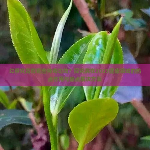 红茶究竟有哪些神奇功效？探究其在2023健康领域的热点作用与痛点解决方案