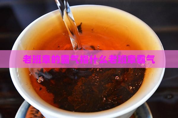 老班章的霸气指什么老班章霸气