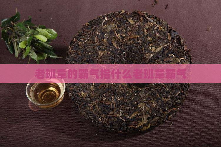 老班章的霸气指什么老班章霸气