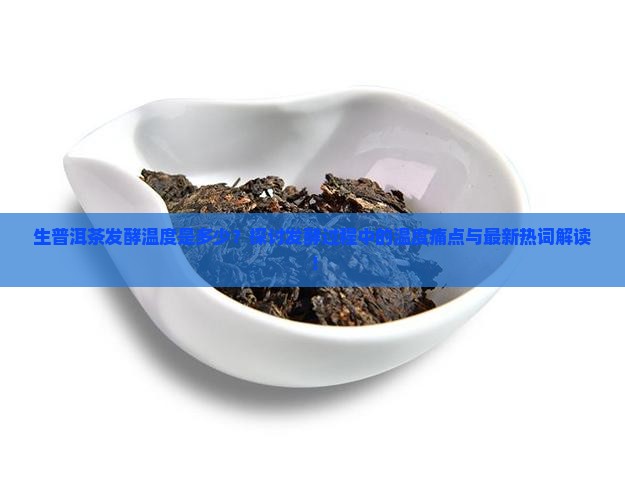 生普洱茶发酵温度是多少？探讨发酵过程中的温度痛点与最新热词解读！