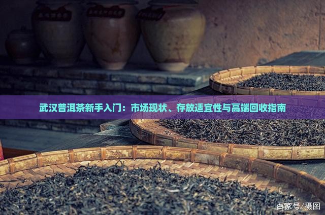 武汉普洱茶新手入门：市场现状、存放适宜性与高端回收指南