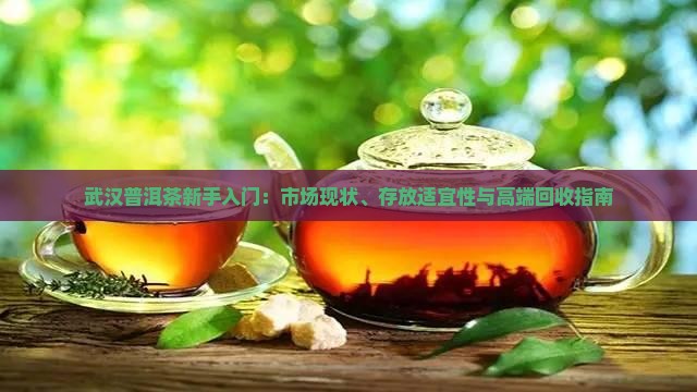 武汉普洱茶新手入门：市场现状、存放适宜性与高端回收指南