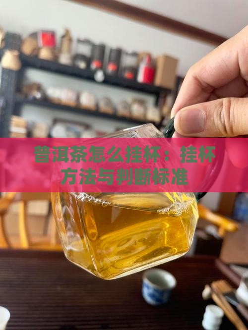 普洱茶怎么挂杯：挂杯方法与判断标准
