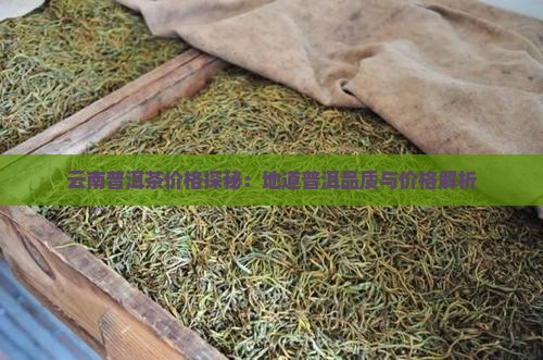云南普洱茶价格探秘：地道普洱品质与价格解析