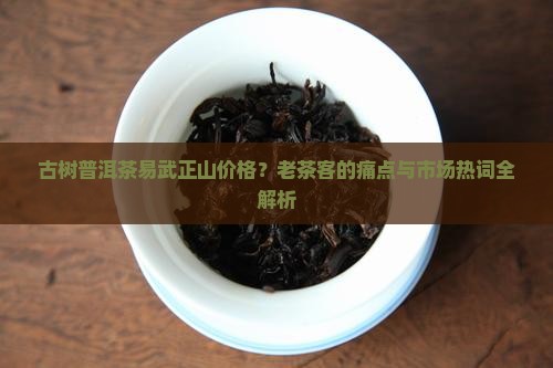古树普洱茶易武正山价格?老茶客的痛点与市场热词全解析 古树普洱茶易武正山价格?老茶客的痛点与市场热词全解析