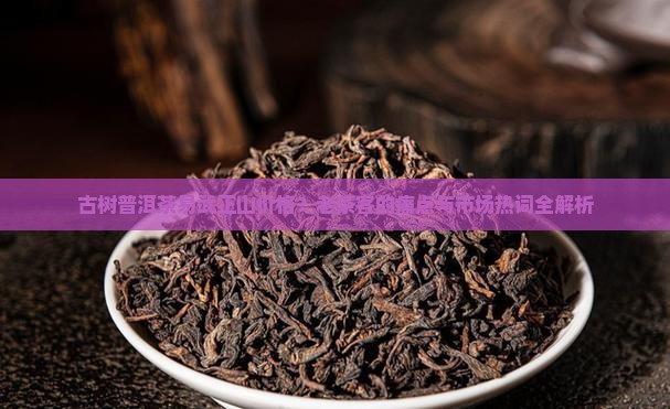 古树普洱茶易武正山价格?老茶客的痛点与市场热词全解析 古树普洱茶易武正山价格?老茶客的痛点与市场热词全解析