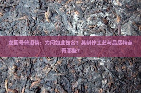 龙园号普洱茶：为何如此知名？其制作工艺与品质特点有哪些？