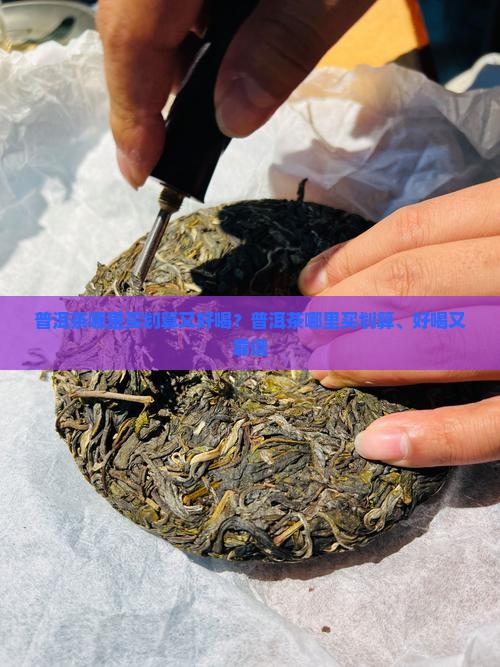 普洱茶哪里买划算又好喝？普洱茶哪里买划算、好喝又靠谱