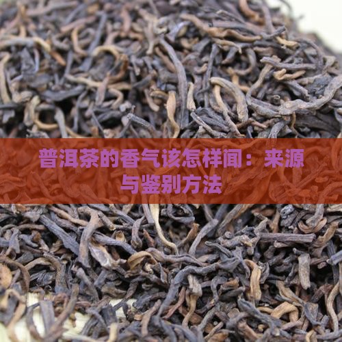 普洱茶的香气该怎样闻：来源与鉴别方法